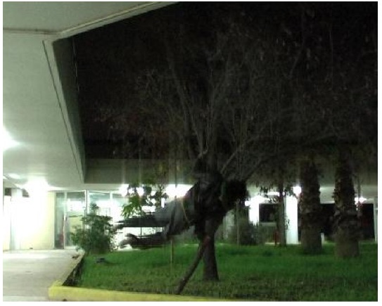 Meat Market Show ATHENS